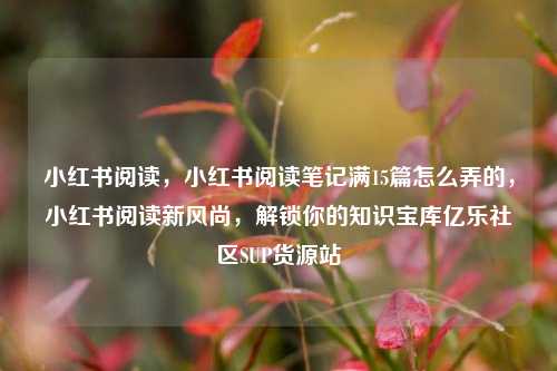 小红书阅读	，小红书阅读笔记满15篇怎么弄的，小红书阅读新风尚，解锁你的知识宝库亿乐社区SUP货源站  第1张