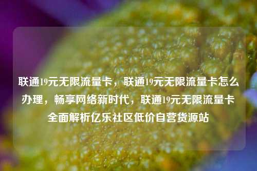 联通19元无限流量卡，联通19元无限流量卡怎么办理	，畅享网络新时代，联通19元无限流量卡全面解析亿乐社区低价自营货源站  第1张