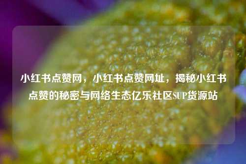 小红书点赞网，小红书点赞网址	，揭秘小红书点赞的秘密与网络生态亿乐社区SUP货源站  第1张
