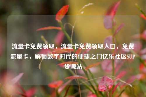 流量卡免费领取	，流量卡免费领取入口，免费流量卡，解锁数字时代的便捷之门亿乐社区SUP货源站  第1张