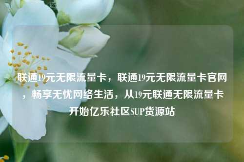 联通19元无限流量卡，联通19元无限流量卡官网	，畅享无忧网络生活，从19元联通无限流量卡开始亿乐社区SUP货源站  第1张