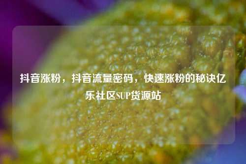 抖音涨粉，抖音流量密码	，快速涨粉的秘诀亿乐社区SUP货源站  第1张