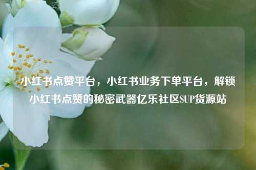小红书点赞平台	，小红书业务下单平台，解锁小红书点赞的秘密武器亿乐社区SUP货源站  第1张