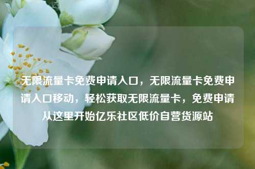 无限流量卡免费申请入口，无限流量卡免费申请入口移动	，轻松获取无限流量卡，免费申请从这里开始亿乐社区低价自营货源站  第1张