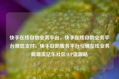 快手在线自助业务平台，快手在线自助业务平台微信支付，快手自助服务平台引领在线业务新潮流亿乐社区SUP货源站  第1张