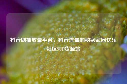 抖音刷播放量平台，抖音流量的秘密武器亿乐社区SUP货源站  第1张