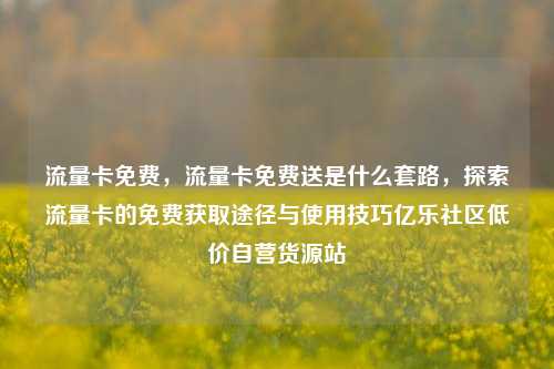 流量卡免费，流量卡免费送是什么套路，探索流量卡的免费获取途径与使用技巧亿乐社区低价自营货源站  第1张