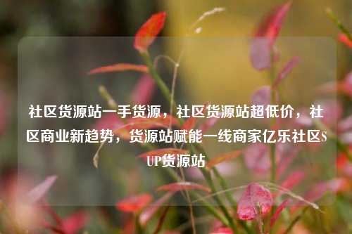 社区货源站一手货源，社区货源站超低价，社区商业新趋势，货源站赋能一线商家亿乐社区SUP货源站  第1张