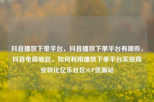 抖音播放下单平台，抖音播放下单平台有哪些，抖音电商崛起	，如何利用播放下单平台实现商业转化亿乐社区SUP货源站  第1张