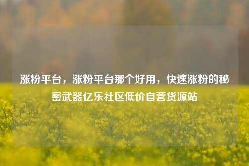 涨粉平台	，涨粉平台那个好用，快速涨粉的秘密武器亿乐社区低价自营货源站  第1张