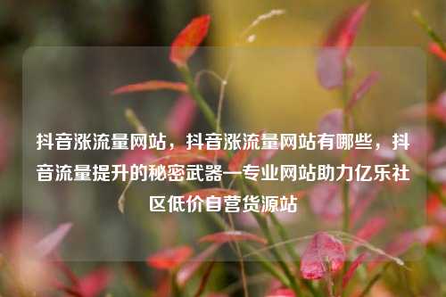 抖音涨流量网站	，抖音涨流量网站有哪些，抖音流量提升的秘密武器—专业网站助力亿乐社区低价自营货源站  第1张