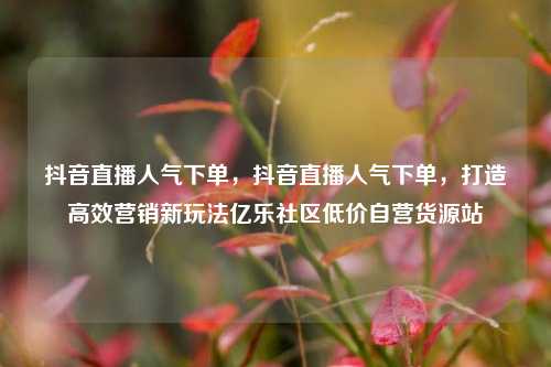抖音直播人气下单	，抖音直播人气下单，打造高效营销新玩法亿乐社区低价自营货源站  第1张