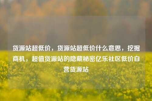 货源站超低价	，货源站超低价什么意思，挖掘商机，超值货源站的隐藏秘密亿乐社区低价自营货源站  第1张