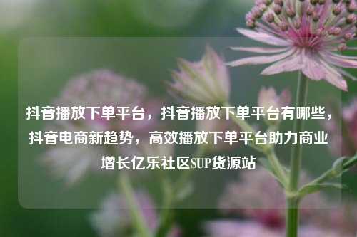 抖音播放下单平台	，抖音播放下单平台有哪些，抖音电商新趋势，高效播放下单平台助力商业增长亿乐社区SUP货源站  第1张