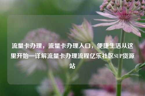 流量卡办理	，流量卡办理入口，便捷生活从这里开始—详解流量卡办理流程亿乐社区SUP货源站  第1张