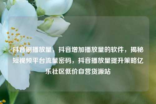 抖音刷播放量，抖音增加播放量的软件	，揭秘短视频平台流量密码，抖音播放量提升策略亿乐社区低价自营货源站  第1张