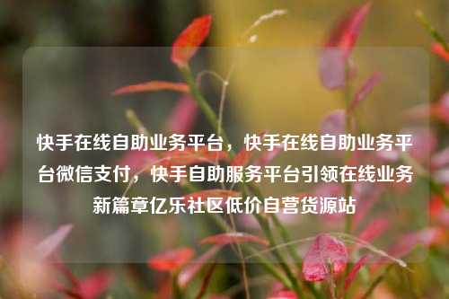 快手在线自助业务平台，快手在线自助业务平台微信支付，快手自助服务平台引领在线业务新篇章亿乐社区低价自营货源站  第1张