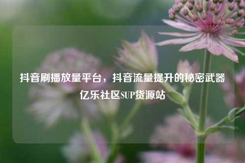 抖音刷播放量平台	，抖音流量提升的秘密武器亿乐社区SUP货源站  第1张
