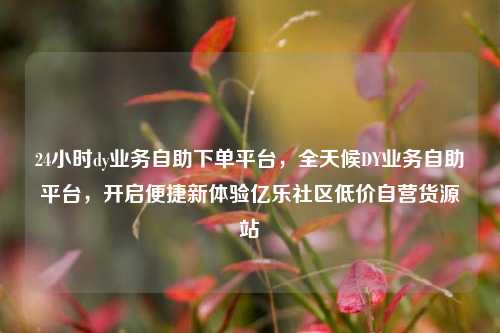 24小时dy业务自助下单平台，全天候DY业务自助平台	，开启便捷新体验亿乐社区低价自营货源站  第1张