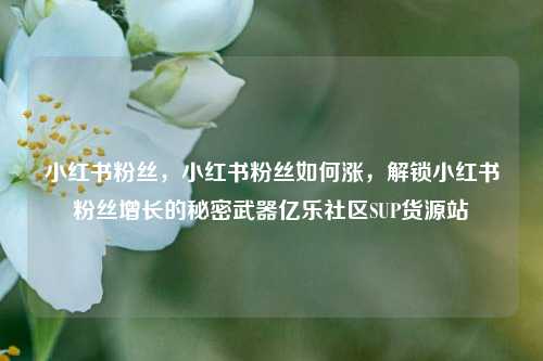 小红书粉丝，小红书粉丝如何涨，解锁小红书粉丝增长的秘密武器亿乐社区SUP货源站  第1张