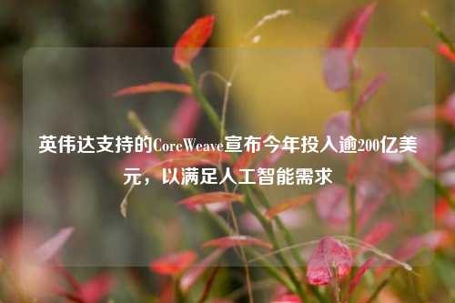 英伟达支持的CoreWeave宣布今年投入逾200亿美元，以满足人工智能需求  第1张