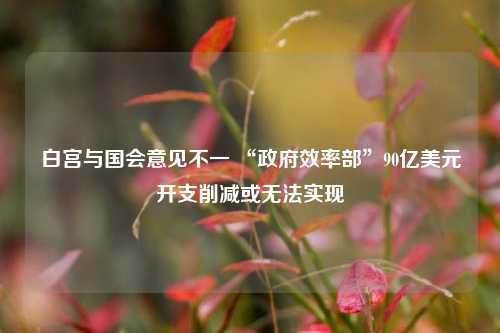 白宫与国会意见不一 “政府效率部”90亿美元开支削减或无法实现  第1张