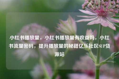 小红书播放量	，小红书播放量有收益吗，小红书流量密码，提升播放量的秘籍亿乐社区SUP货源站  第1张