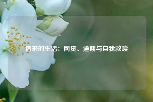 借来的生活：网贷、逾期与自我救赎  第1张