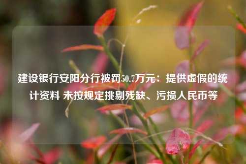 建设银行安阳分行被罚50.7万元：提供虚假的统计资料 未按规定挑剔残缺	、污损人民币等  第1张