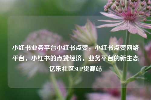 小红书业务平台小红书点赞，小红书点赞网络平台，小红书的点赞经济，业务平台的新生态亿乐社区SUP货源站  第1张