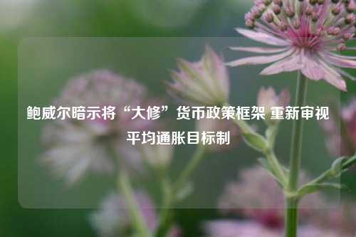 鲍威尔暗示将“大修	”货币政策框架 重新审视平均通胀目标制  第1张