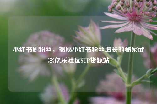 小红书刷粉丝	，揭秘小红书粉丝增长的秘密武器亿乐社区SUP货源站  第1张