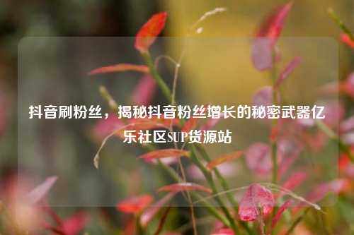 抖音刷粉丝	，揭秘抖音粉丝增长的秘密武器亿乐社区SUP货源站  第1张