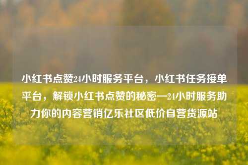 小红书点赞24小时服务平台，小红书任务接单平台	，解锁小红书点赞的秘密—24小时服务助力你的内容营销亿乐社区低价自营货源站  第1张