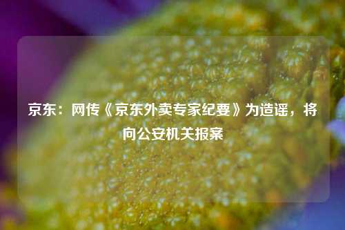 京东：网传《京东外卖专家纪要》为造谣	，将向公安机关报案  第1张