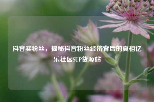 抖音买粉丝，揭秘抖音粉丝经济背后的真相亿乐社区SUP货源站  第1张