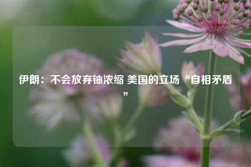 伊朗：不会放弃铀浓缩 美国的立场“自相矛盾”  第1张