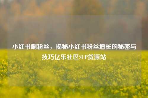 小红书刷粉丝，揭秘小红书粉丝增长的秘密与技巧亿乐社区SUP货源站  第1张