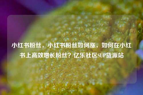 小红书粉丝，小红书粉丝如何涨，如何在小红书上高效增长粉丝？亿乐社区SUP货源站  第1张