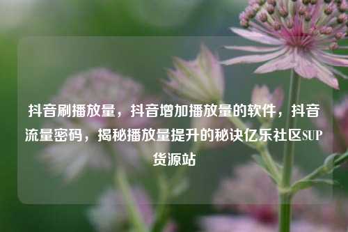 抖音刷播放量，抖音增加播放量的软件	，抖音流量密码，揭秘播放量提升的秘诀亿乐社区SUP货源站  第1张