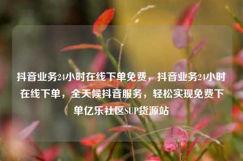 抖音业务24小时在线下单免费	，抖音业务24小时在线下单，全天候抖音服务，轻松实现免费下单亿乐社区SUP货源站  第1张