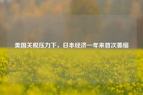美国关税压力下	，日本经济一年来首次萎缩  第1张