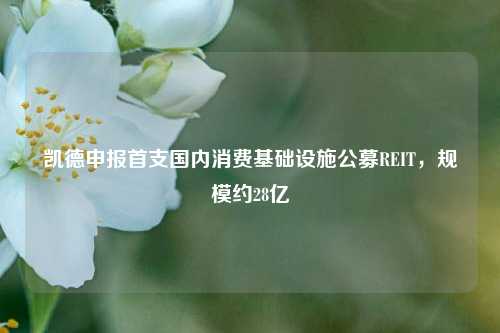 凯德申报首支国内消费基础设施公募REIT，规模约28亿  第1张