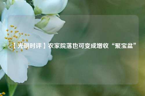 【光明时评】农家院落也可变成增收“聚宝盆”  第1张