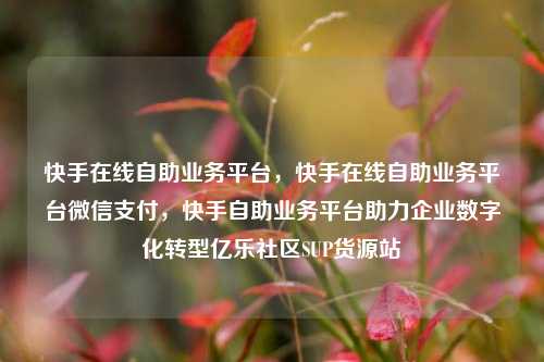 快手在线自助业务平台，快手在线自助业务平台微信支付，快手自助业务平台助力企业数字化转型亿乐社区SUP货源站  第1张