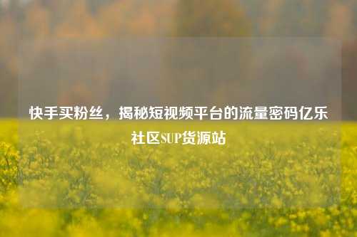 快手买粉丝，揭秘短视频平台的流量密码亿乐社区SUP货源站  第1张