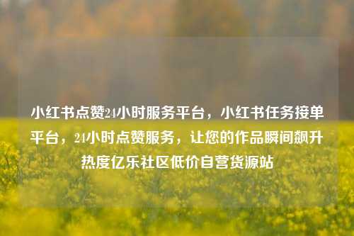小红书点赞24小时服务平台，小红书任务接单平台，24小时点赞服务，让您的作品瞬间飙升热度亿乐社区低价自营货源站  第1张