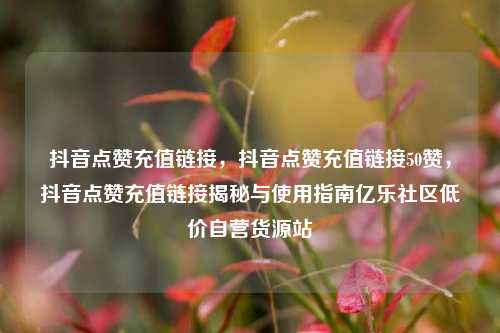 抖音点赞充值链接，抖音点赞充值链接50赞	，抖音点赞充值链接揭秘与使用指南亿乐社区低价自营货源站  第1张