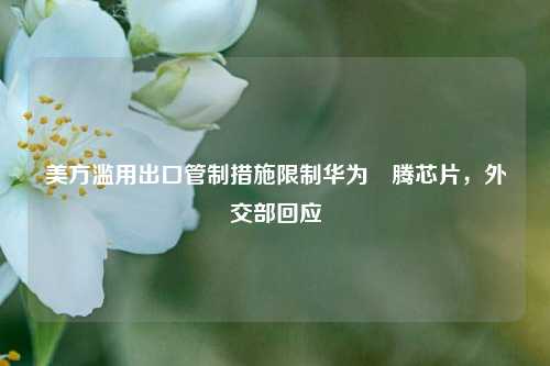 美方滥用出口管制措施限制华为昇腾芯片，外交部回应  第1张