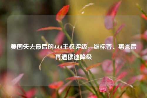 美国失去最后的AAA主权评级，继标普、惠誉后再遭穆迪降级  第1张